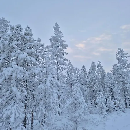 Red Fox Wilderness & Northern Lights Ferienhaus *