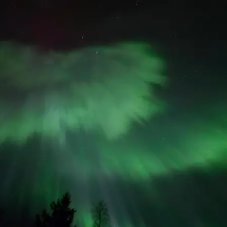Red Fox Wilderness & Northern Lights *
