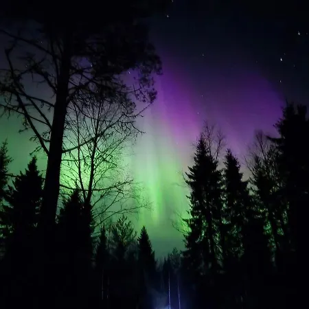 Ferienhaus Red Fox Wilderness & Northern Lights Rovaniemi